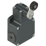FL 531-K21 Pizzato Elettrica Конечный выключатель с роликовым рычагом