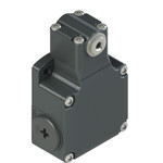 FL 558-V9 Pizzato Elettrica Конечный выключатель без актуатора