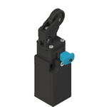 FR 607-W3K21 Pizzato Elettrica Конечный выключатель с регулируемым односторонним роликом и сбросом устройства