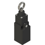 FR 573-K25 Pizzato Elettrica Позиционный выключатель