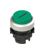 E2 1PL2S429L2 Pizzato Elettrica Зеленая выступающая кнопка с подсветкой с маркировкой