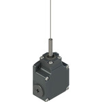 FL 521-M2-EX4 Pizzato Elettrica Конечный выключатель, винтовая пружина с контактным усом ATEX 3D