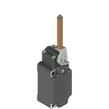 FP 253-E11M2 Pizzato Elettrica Конечный выключатель с фарфоровым поворотным рычагом