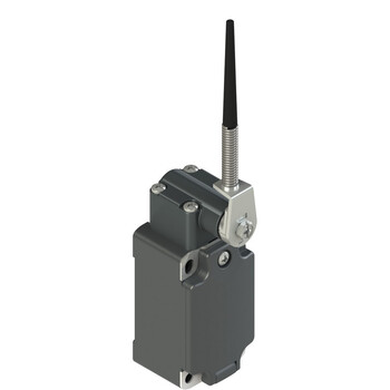 FP 734-M2 Pizzato Elettrica Конечный выключатель, пружинный рычаг с пластиковым наконечником