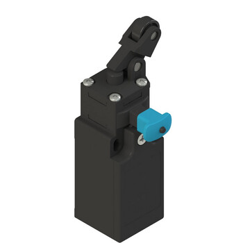 FR 605-W3M2R23 Pizzato Elettrica Конечный выключатель с односторонним роликом и сбросом устройства