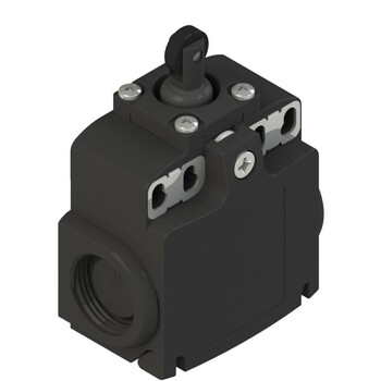 FX 20A4-M2 Pizzato Elettrica Конечный выключатель со штоком, внешней прокладкой и роликом