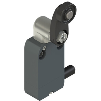 NF B222KA-DN2 Pizzato Elettrica Модульный выключатель со встроенным кабелем с прямым пластиковым поворотным рычагом диаметром 18 мм
